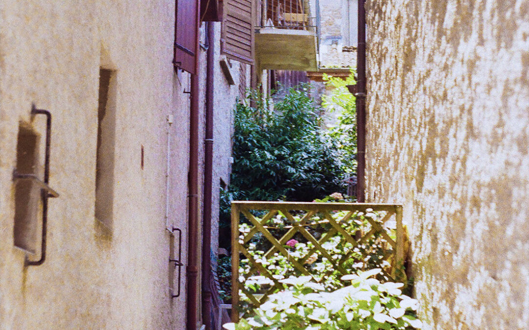 Argentique Été 2025